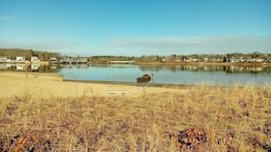 Ranta
