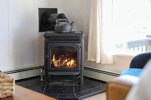 Propaine fireplace