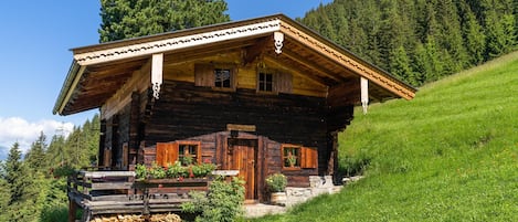 Exteriör
