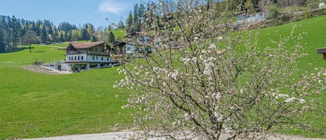 Aussicht vom Ferienhaus [Sommer]