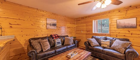 Living room with sleeper Sofa