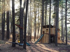 Discover a hidden gem at Cobalt Cabin - a playful oasis nestled within the mystical beauty of the ponderosa pine forest. Kids can swing, slide, and let their imaginations roam in this whimsical setting.