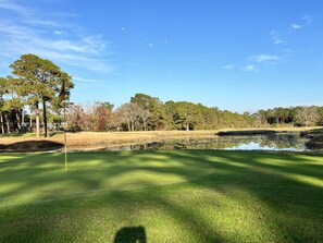 Play golf course or just relax with the view of the pond.