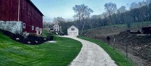 Driving in view. Sans pine trees in front of house.