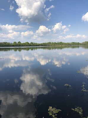 Oklassificerad bild, 5 av 20, knapp