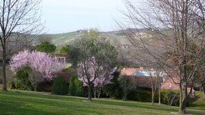 Terrain de l’hébergement 