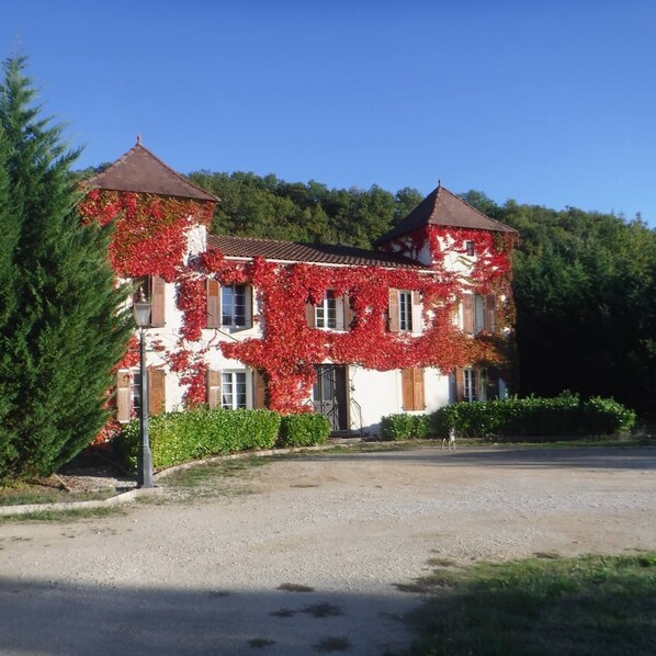 Exteriör