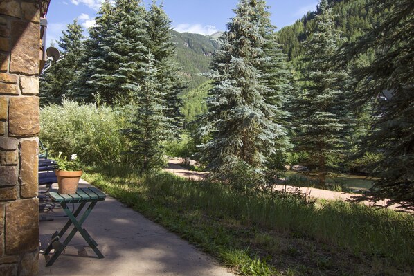Live amongst the trees.