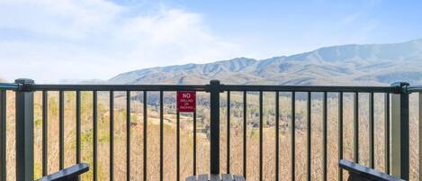 Welcome to Point of View - Deer Ridge Mountain Resort A203