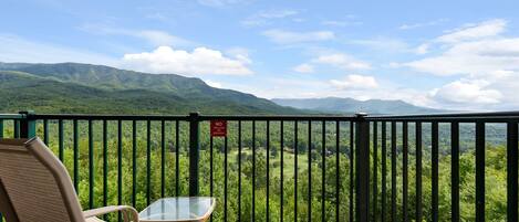 The Best Attachment - With the balcony off the living room, you can enjoy your morning coffee or evening glass of wine in peace.