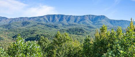 Nature at Your Doorstep - When you stay at Gatlinburg, you don’t have to go far to revel in nature’s magnificence.