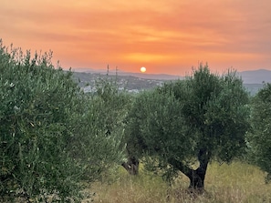 Magnificent sunsets can be enjoyed from your private patio or pool terrace