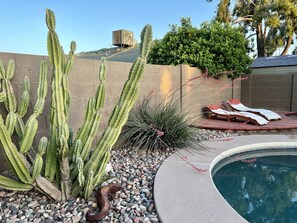 Lounge chairs, pool and cactus! 