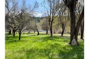 view from cabin