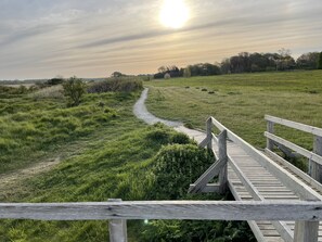 Nationalpark "Vorpommersche Boddenlandschaft"