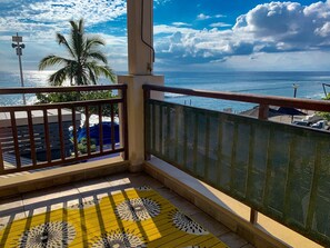 Vue sur l'Océan Indien depuis la terrasse du Pétrel Noir