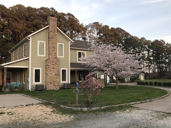 Spring at Sunnyfield Farm Inn!  Come visit us!