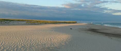 5 min drive to Nauset Beach for endless sand and surf