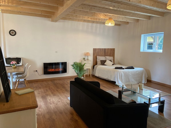 vue d'ensemble sur salon chambre et cuisine