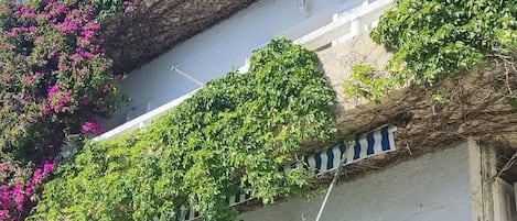 Façade de l'appartement avec son balcon