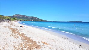 Plage de Palombaggia à 800m.