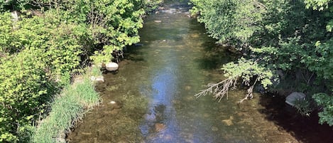 gîte bordé par la rivière : La Doller.