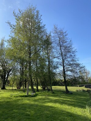 Trädgård