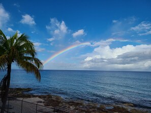 We often see rainbows over the water.