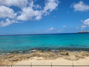 Great snorkeling directly on the beach in front of the condo.