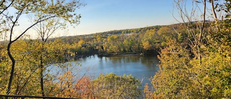 The View from the back yard