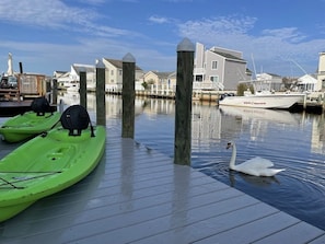 Swim in the lagoon.  Catch fish or crabs from your own dock.