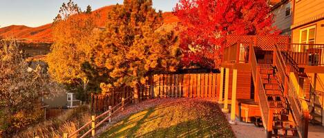 Our backyard is particularly glorious in the fall!