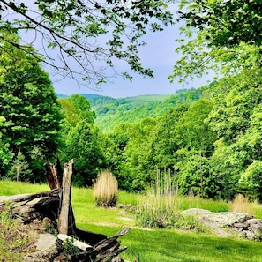 Beautiful Mountain View's everyday at Babbling Brook Cabin!