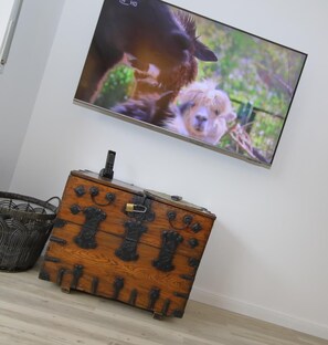 Television