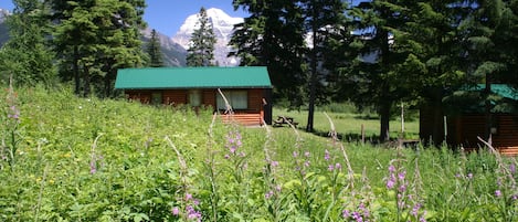 Terrain de l’hébergement 