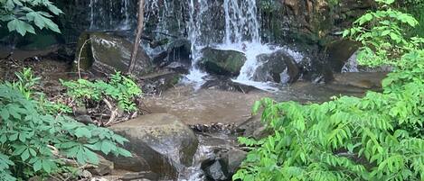 Terrenos do alojamento