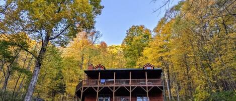 Beautiful Fall Foliage