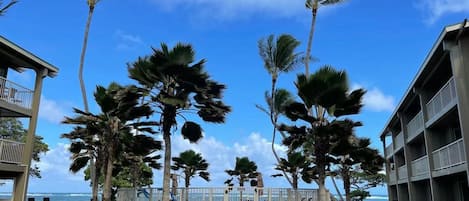 Beach View