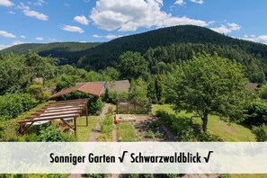 beautiful view in the black forest and garden