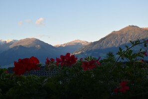 Ausblick vom Balkon