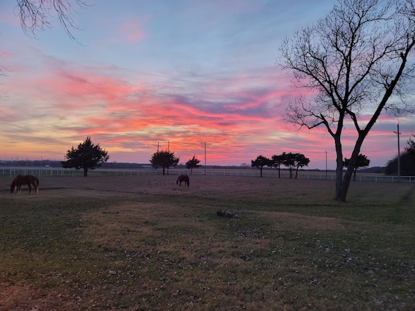 Beautiful sunset from the Porch