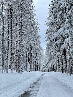 Skidåkning och snöaktiviteter