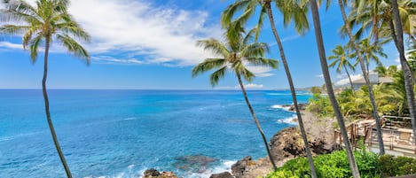 Beautiful Lanai View