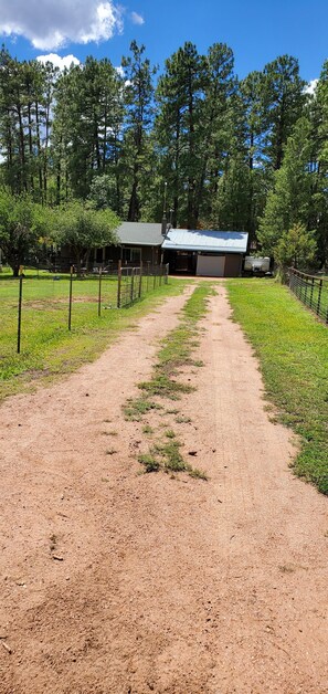Driveway to the house, about 100 ft back from the road