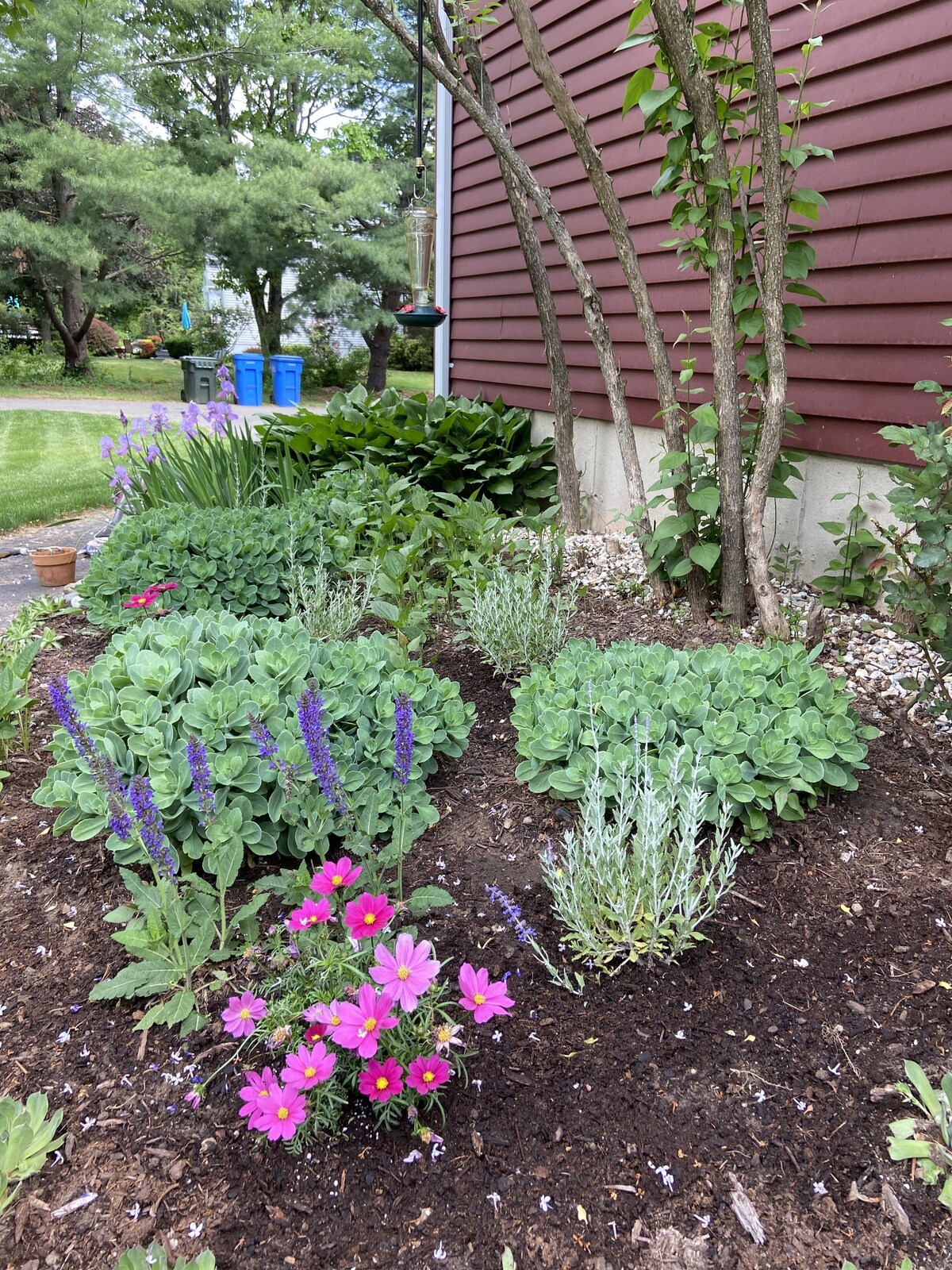 Private pool, fire pit, hummingbirds in comfortable colonial style private home.