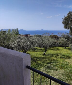 Capri and privat garden seen from the balcony