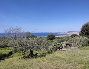 Gulf of Naples and private garden seen from the balcony