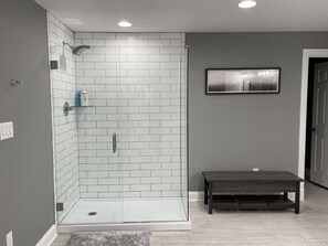 Master Bath shower