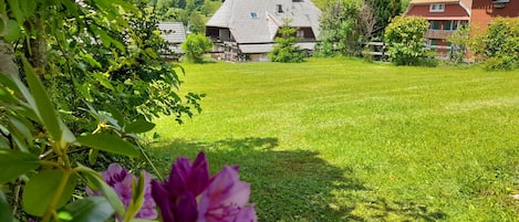 Overnatningsstedets område