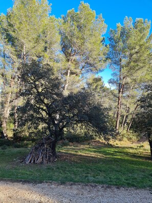 Enceinte de l’hébergement